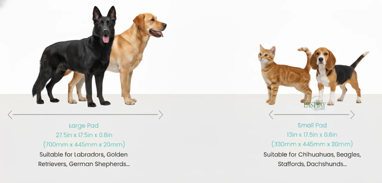 PEMF for PETS NeoRhythm